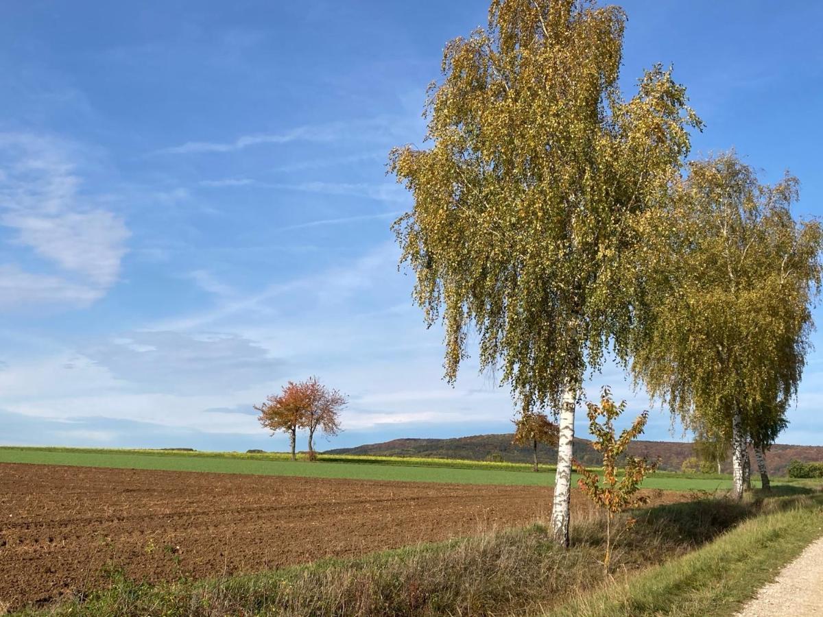 Ferienwohnung Franken Hallerndorf Exterior foto